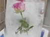 3-sommerschwatz-005